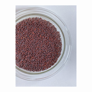 สารสกัดจากเมล็ดบรอกโคลี กลูโคราฟานิน 1%-50% ราคาโรงงาน ขายส่ง - Product Image 1