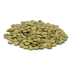 Meilleur prix pour les lentilles vertes entières canadiennes, lentilles vertes biologiques sèches, stock en vrac disponible avec emballage personnalisé - Product Image 2