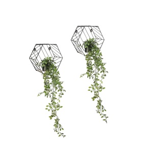 Jardinières suspendues pour la décoration du jardin Jardinière suspendue en métal noir de meilleure qualité Pot à plantes Design attrayant Décoration intérieure Pots à plantes - Product Image 3