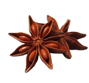 Anís estrellado entero seco premium de Vietnam, sin tallo, natural, de alto aroma, especias a granel, venta al por mayor, exportador y proveedor confiable / ANNA DO - Product Image 4