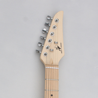 China String Instruments Electric Guitar for Professional Lead Guitar 6 String Electric Guitar for Sale