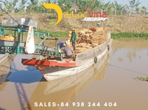 Jacinto de agua Ried utilizado para el almacenamiento del hogar y la cocina - Product Image 6