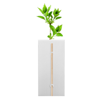 Protection de Tronc d'Arbre Fruitier en Plastique Alvéolaire PP Écologique Blanc 3mm 600x300mm pour Vente en Gros, OEM et ODM Disponibles