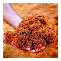 Briques de fibres de coco naturelles de 11 lb, tourbe de coco biologique, milieu pour semis, culture sans terre, écologique, bran de coco, agriculture