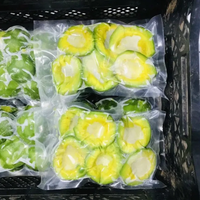Biologische IQF Diepvries Avocado Halves 30kg Karton Gemaakt in Vietnam Hoge Kwaliteit Diepvries Fruit in Bulk / Mevr. Tina +84 96 871 5470