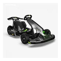 Nuevo Go Kart Eléctrico de Alta Calidad para Adultos, Motor de 1000W, 110CC, Buggy para Dunas, Freno Hidráulico, Ruedas de 13 Pulgadas, 40km/h, Cadena
