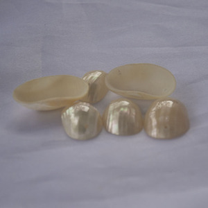 Turbo Gran Corte perlado Seashell incrustaciones artesanales Indonesia pulido crudo técnica Animal estilo para incrustaciones de joyería - Product Image 6