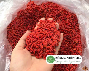Bayas de Goji a Granel de Vietnam para Fabricantes de Té de Hierbas, Procesadores de Alimentos, Marcas Minoristas e Importadores Globales - Product Image 6