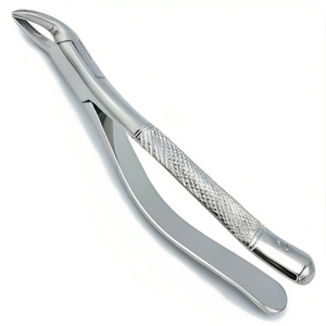 REHMAT NOOR INDUSTRY RN-WTEF-001 Fórceps Curvos para Dientes de Lobo Equinos de Acero Inoxidable, Extractor Dental Veterinario para Incisivos de Caballos - Product Image 2