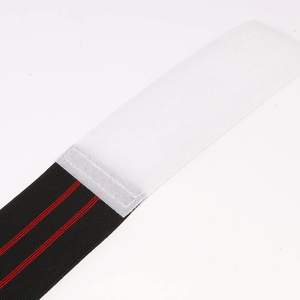 Raqueta de Taekwondo Kicking Padtaekwondo - Product Image 3