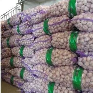 Nueva Cosecha de Ajo Morado Fresco/Ajo Blanco Normal/Ajo Rojo en Venta - Product Image 1