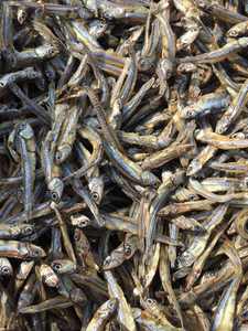 Anchoa seca con cabeza o sin cabeza (Sprat), de Vietnam, superventas - Product Image 5