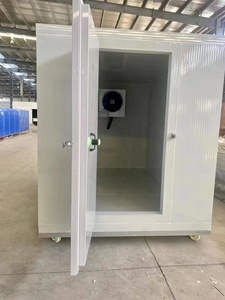 Tùy Chỉnh Đóng Băng Phòng Đi Bộ Trong Mát Đơn Vị Thương Mại Lạnh Mát Lạnh Phòng Nhà Sản Xuất - Product Image 5