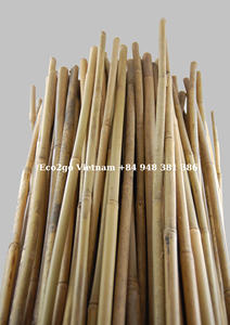 Precio barato para estacas de bambú huecas y palos de bambú crudo para soporte de plantas del fabricante Eco2go Vietnam - Product Image 6