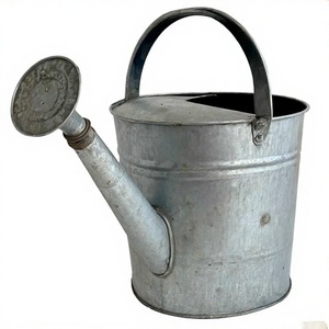 Arrosoir galvanisé élégant avec finition patinée antique et bec verseur de précision pour plantes délicates d'intérieur et d'extérieur - Product Image 6