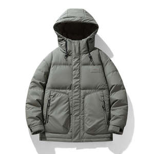 Chaqueta de Plumón Personalizada OEM/ODM para Hombre, Informal, de Invierno, Cortavientos, de Alta Calidad, con Capucha y Patrón 3D - Product Image 4