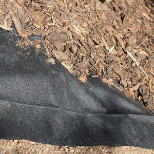 Copertura delle cipolle alla fragola Anti erba argento nero 30 Micron pellicola di pacciame di plastica - Product Image 2