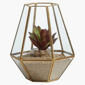 Metal Glass Terrarium Wardian Case - Product Image 2