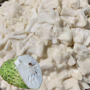 Puré de Guanábana Congelado de Vietnam, Pulpa de Graviola Premium para Exportación, Suministro a Granel IQF - Product Image 5