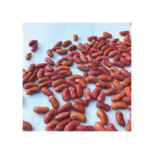 High Quality Red <b>Kidney</b> <b>Beans</b> Bulk Packed Hot Sale with Competitive Export Price - Product Image 4