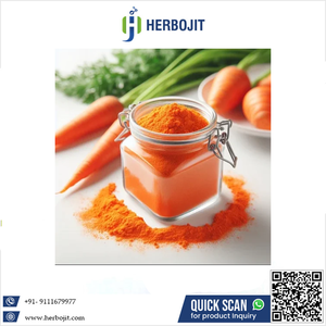 Meilleure Offre Nouvelle Poudre de Carotte Séchée par Pulvérisation de Qualité Alimentaire, Additif Alimentaire Naturel, Emballage en Sac Polyéthylène de 25 KG, Fabriqué en Inde - Product Image 6