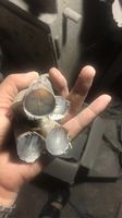 Bonne qualité personnalisé à vendre en vrac corne de buffle et pointe de corne/OX qualité naturelle OX et pointe de corne de buffle à vendre au prix