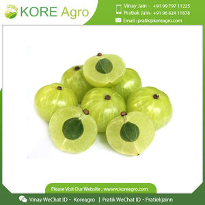 Amla-polvo indio de goosebberry, la mejor calidad, listo para exportarse, cantidad a granel - Product Image 2