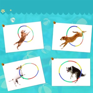 High Quality Hot Selling Kids Fitness <b>Hoop</b> Wholesale <b>Weighted</b> <b>Hula</b> Ring Rainbow Color Foam Plastic Outdoor Toy Bulk Supplier - Product Image 2