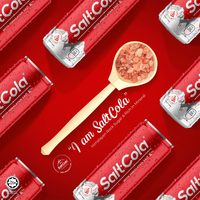 HALAL Cola gazeux au sel brun saveur caramel faible en glucides, eau de l'Himalaya, 0,32L, prêt à expédier, conditionnement en canette, fabriqué en Malaisie, sans alcool