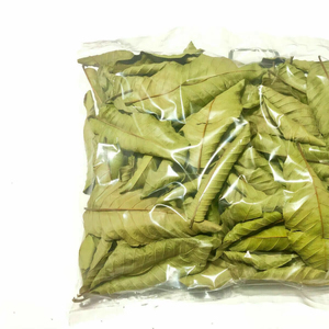 Hojas de guayaba secas en Vietnam: alta calidad y precio competitivo - Product Image 1