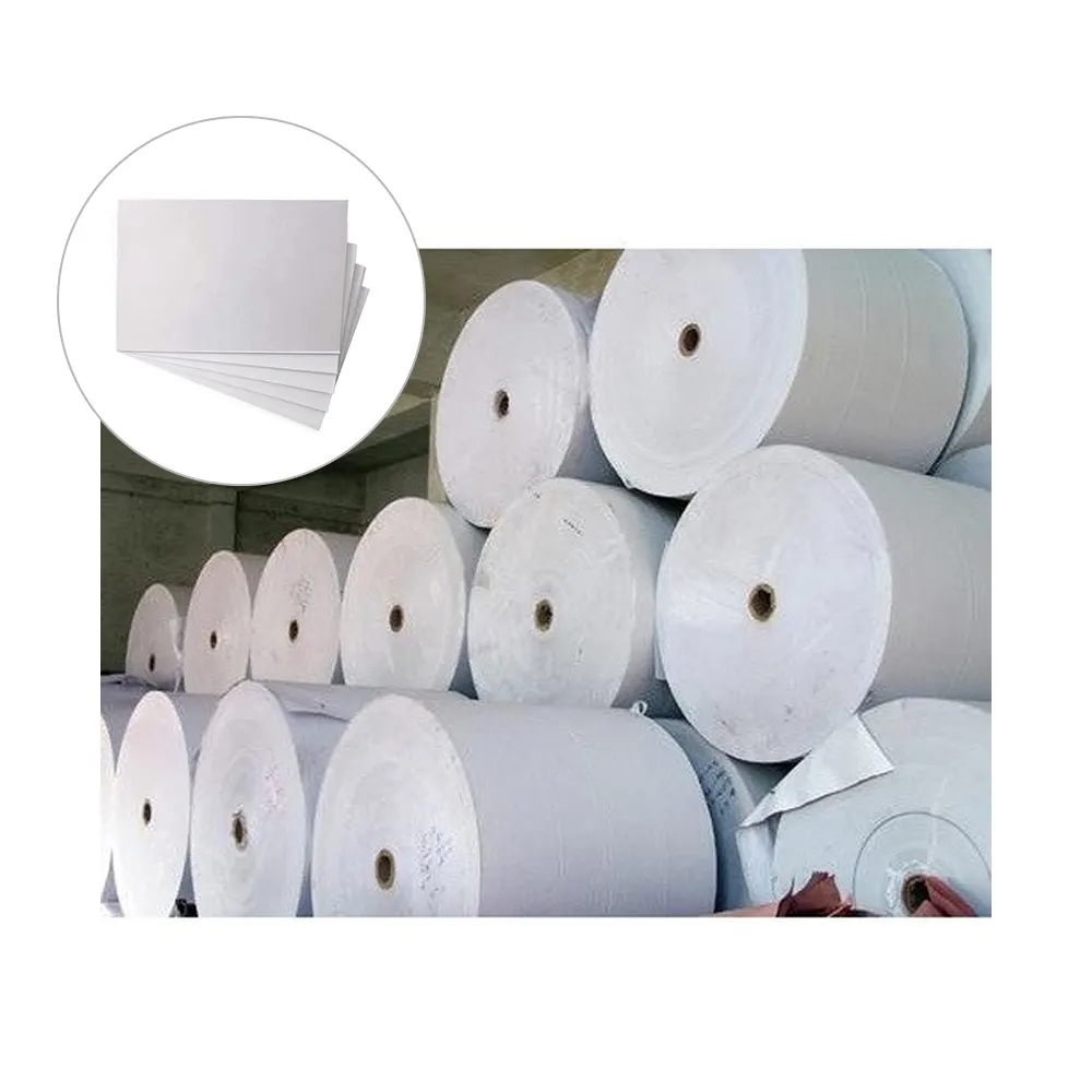 Wholesale Price White Coated FBB Board Paper Rolls For Food And Beverage Packaging Supplier