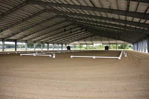 Kit de hangar à poteaux 150x100, couverture de tente d'arène, écurie portable pour chevaux - Product Image 4