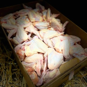 Ailes de poulet congelées entières, fraîches, juteuses et tendres, riches en protéines, vente en gros pour supermarchés et traiteurs – Meilleures ventes - Product Image 4