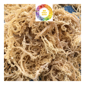 สาหร่าย Eucheuma cottonnii จากทะเลมอสแห้งขนาดใหญ่เหมาะสำหรับสลัดสาหร่าย - Product Image 2