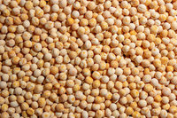 Pois bruns séchés, entièrement nettoyés à la machine, qualité Sortex, origine Éthiopie, séchés à l'air, culture courante, pois chiches bruns, emballage en vrac