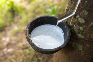 Látex de caucho natural en grumos de grado general, látex líquido crudo blanco al por mayor, calidad de exportación, proveedor - Product Image 2