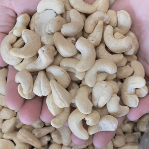 Precio barato de fábrica Anacardos LWP Anacardos Empaquetado con impuestos GRATUITOS - Product Image 1