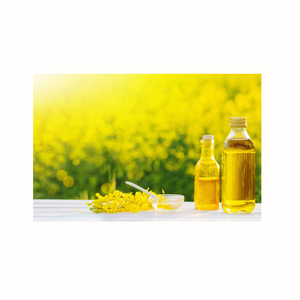 Aceite de canola a granel de calidad superior, fresco y rentable para aplicaciones industriales y culinarias - Product Image 4