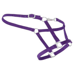 Haute qualité économie Nylon cheval licou réglable nez couronne entraînement quotidien manipulation ajustement boucles en métal plusieurs tailles disponibles - Product Image 4