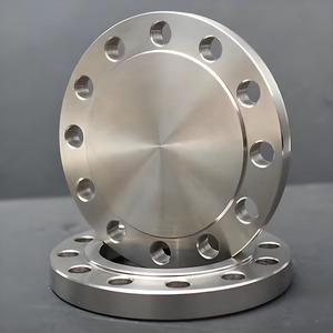 Accesorios de Tubería de Acero Inoxidable ASTM A182 F44, Brida Ciega DN250 PN16, Cara <span class=keywords><strong>FF</strong></span>/RF, Resistentes a la Corrosión, para la Industria Vinícola - Product Image 3
