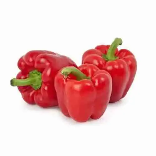 Kualitas baik segar Capsicum Bell Pepper halus dan alami kulit hijau merah kuning hijau dari Vietnam eksportir top Harga wajar