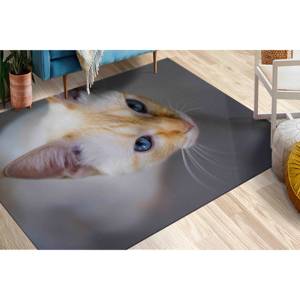Alfombra con Estampado de Gatos, Perfecta para Amantes de los Gatos, Decoración del Hogar, Alfombra Suave No Tejida - Product Image 2