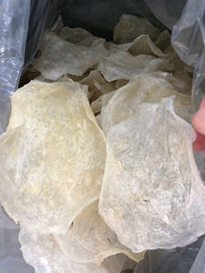 Socio B2B Confiable, Proveedor Profesional de Tripa de Pescado Seca de Alta Calidad, Exportación de Mariscos Naturales para el Mercado Global - Product Image 3