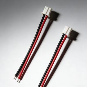 Aangepaste kabelassemblage LED-strip connector 2 4-pins JST XH 2.54 plug vrouwelijke connector met kabels, afgestripte draadboom - Product Image 1