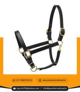 Holesale: se puede ajustar a la estabilidad, se puede cambiar entre 2022 y - Product Image 3