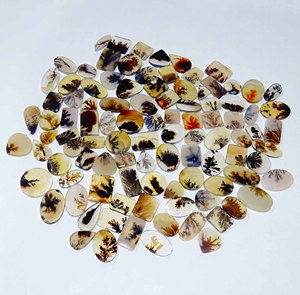 Shazar หินโมรา dendritic อัญมณี Cabochon หินอัญมณีรูปทรงผสมขายส่งและอัญมณีดีสำหรับใช้ทำเครื่องประดับ - Product Image 3