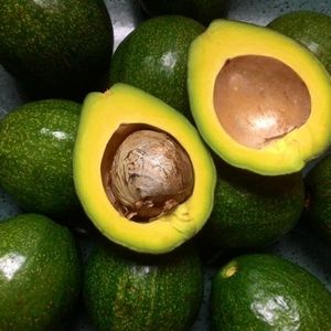 Aguacate fresco de primera calidad, fruta tropical dulce para bebidas - Product Image 4