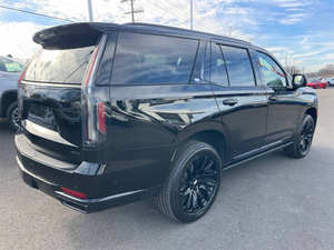 Usado 2022 Ca-Esala-de Sp-ort Pla-tin-um - Product Image 6