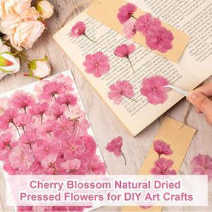 Lot de 100 <span class=keywords><strong>fleurs</strong></span> comestibles séchées et pressées naturelles pour décoration de gâteau, mélange de roses Sakura, <span class=keywords><strong>fleurs</strong></span> de cerisier pour décoration de cupcakes - Product Image 6