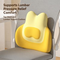 Coussin de soutien lombaire ergonomique pour chaise de bureau, coussin soulageant les douleurs dorsales, maille respirante pour les travailleurs assis longue durée